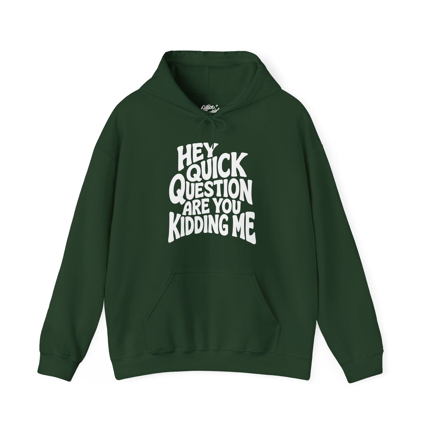 Hey Quick Question Are You Kidding Me Hoodie