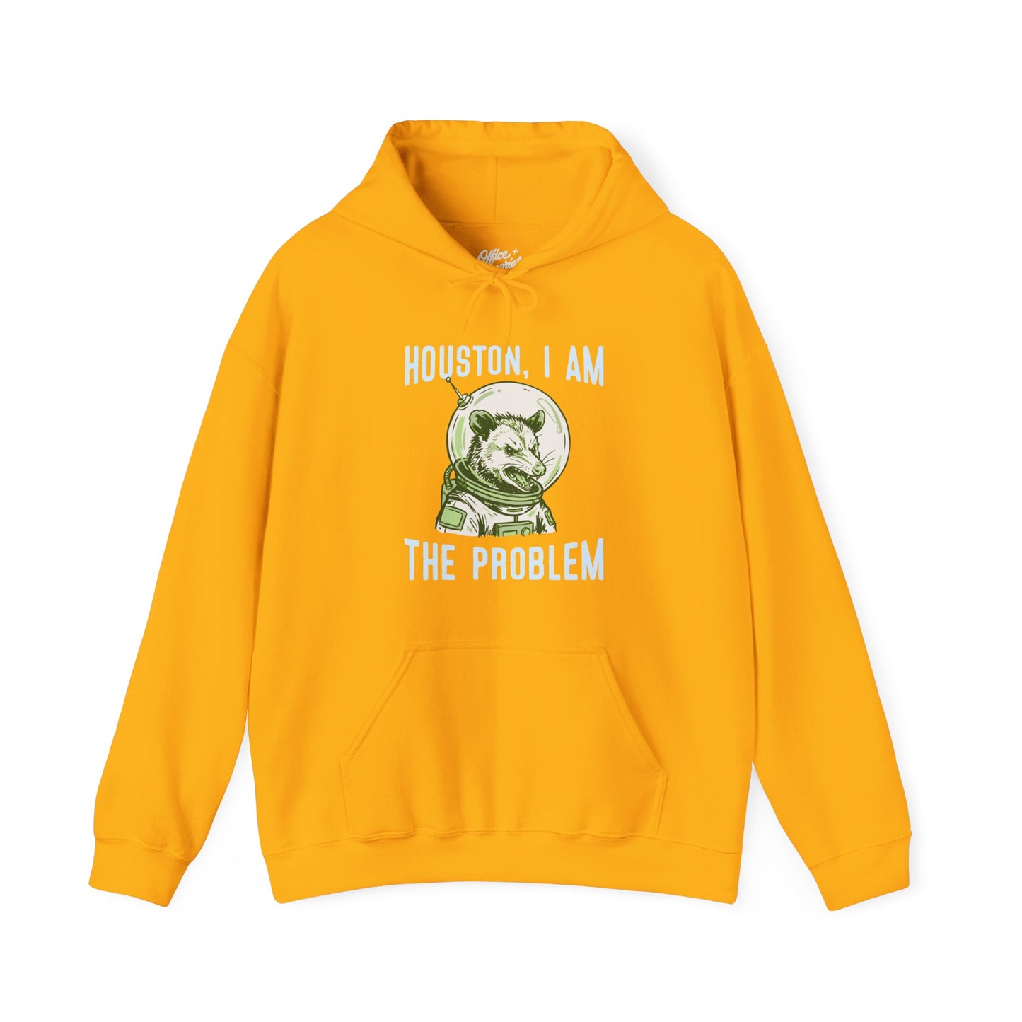 Houston, I Am The Problem Hoodie