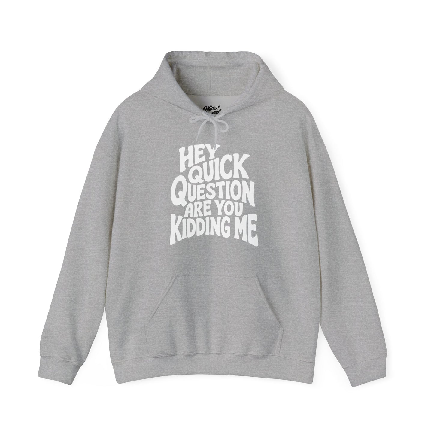 Hey Quick Question Are You Kidding Me Hoodie