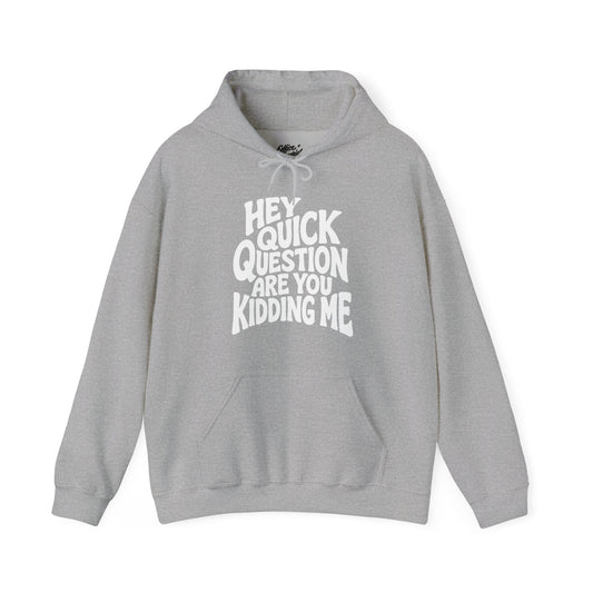 Hey Quick Question Are You Kidding Me Hoodie