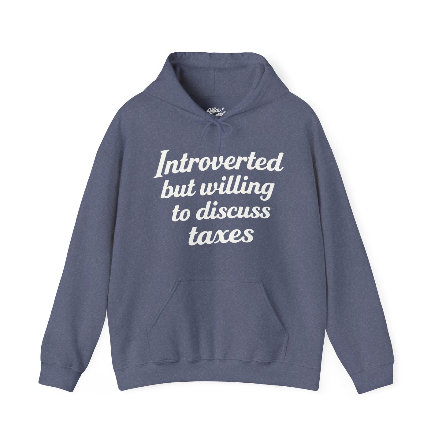 Introverted, But Willing to Discuss Taxes Hoodie