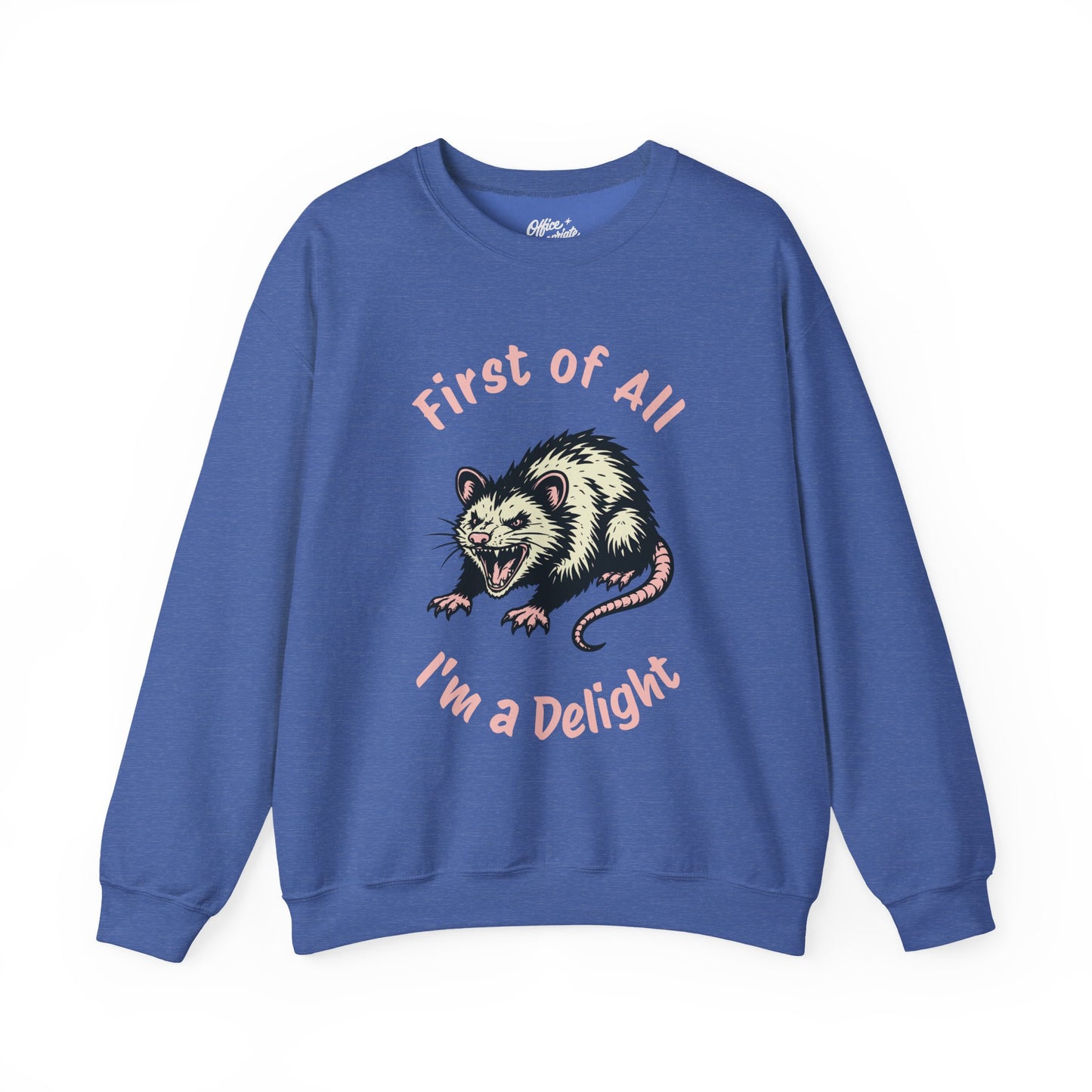First of All, I'm a Delight Sweatshirt