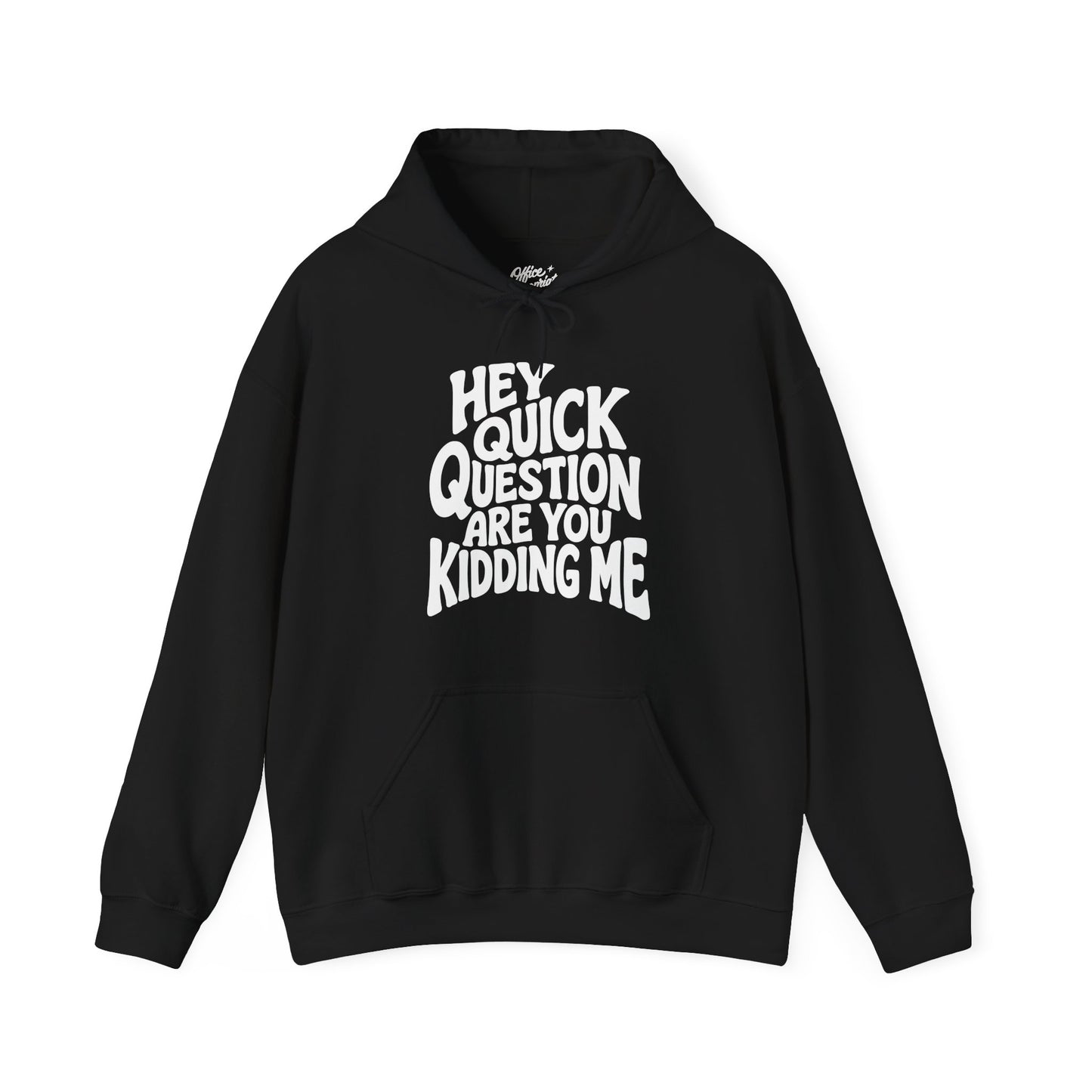 Hey Quick Question Are You Kidding Me Hoodie