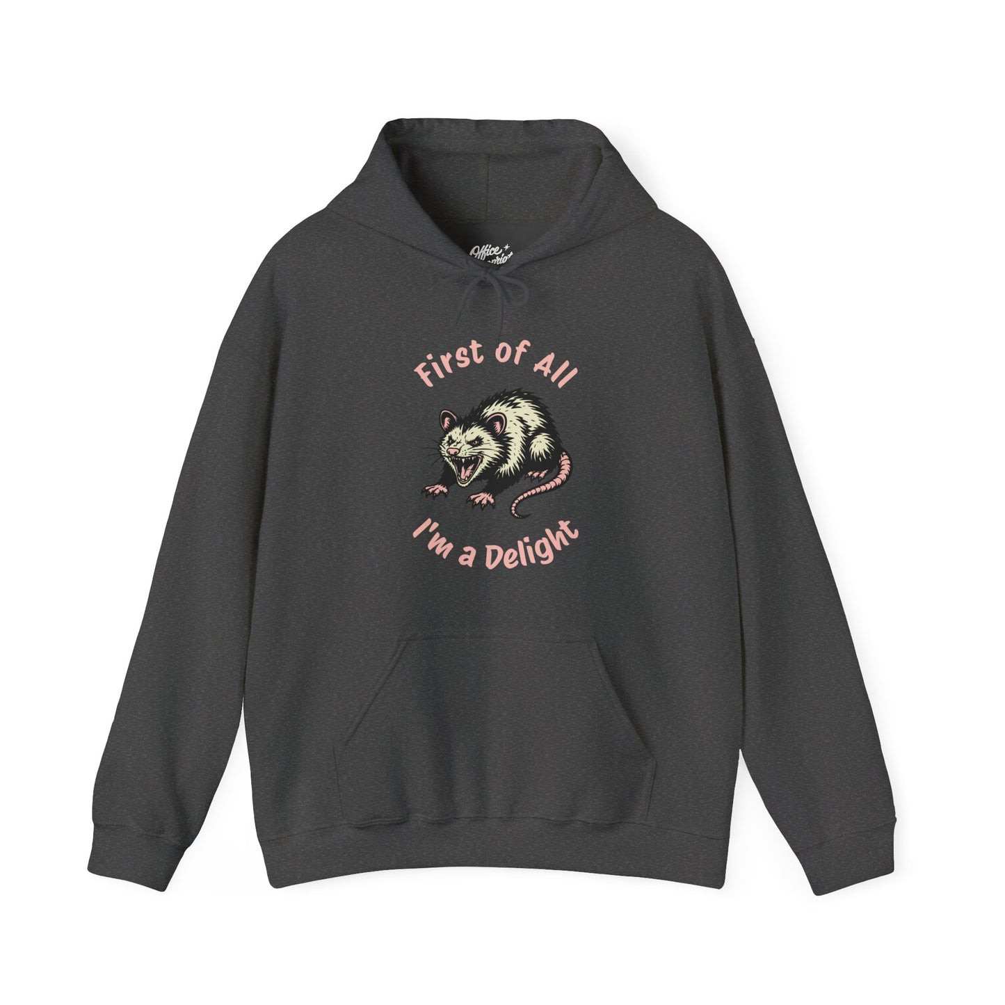 First of All, I'm a Delight Hoodie