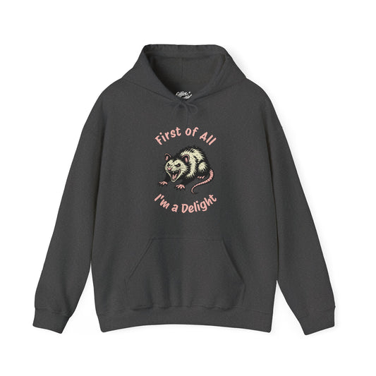 First of All, I'm a Delight Hoodie