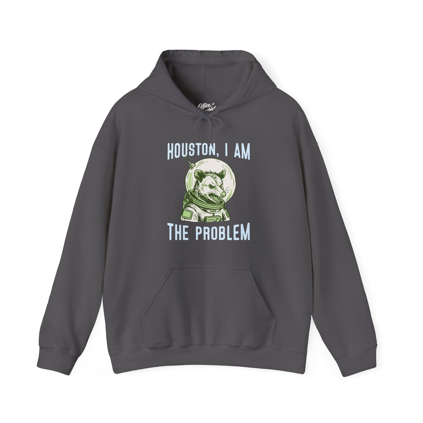 Houston, I Am The Problem Hoodie