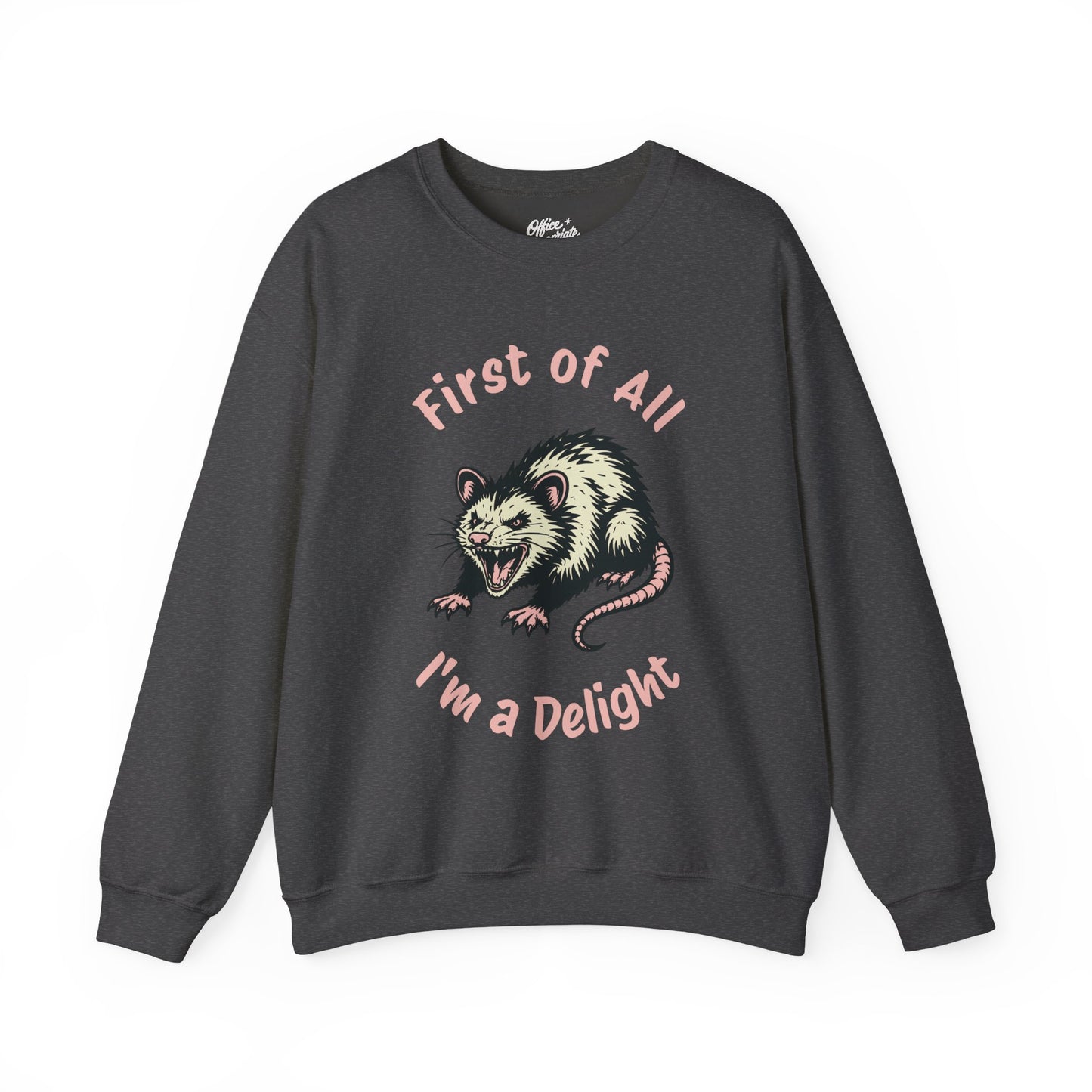 First of All, I'm a Delight Sweatshirt