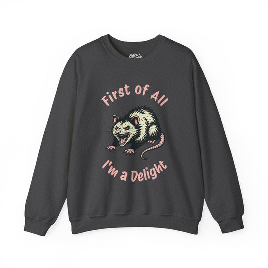 First of All, I'm a Delight Sweatshirt