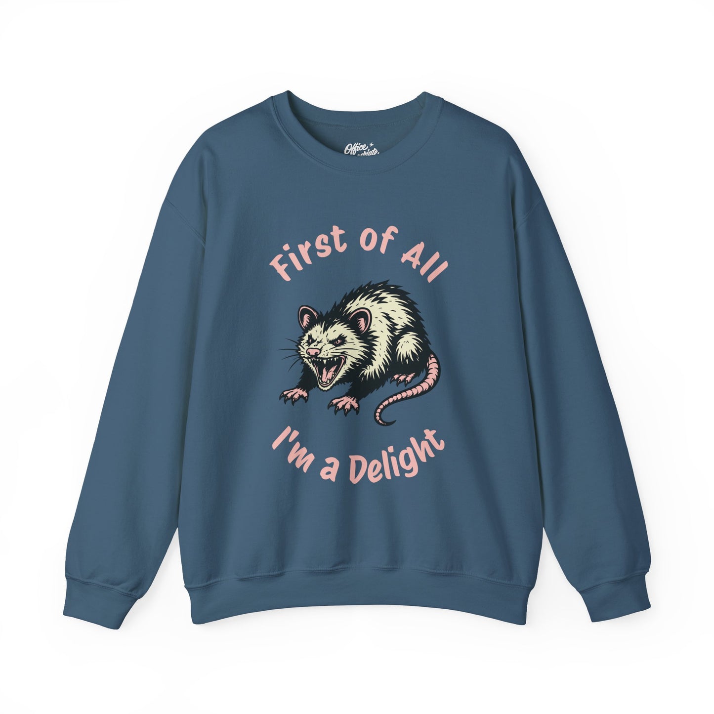 First of All, I'm a Delight Sweatshirt