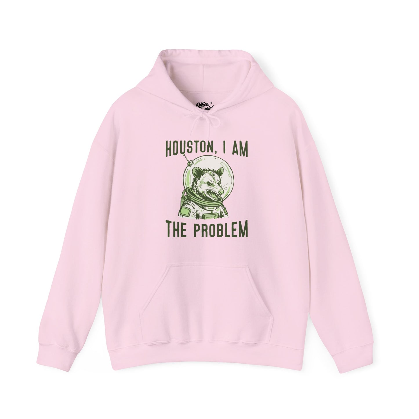 Houston, I Am The Problem Hoodie