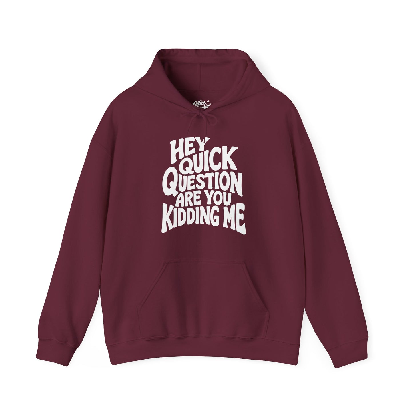 Hey Quick Question Are You Kidding Me Hoodie